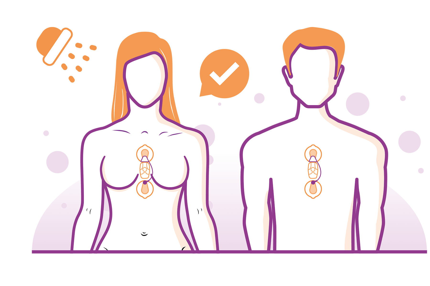 24-hour ECG Holter Monitoring Service - ECG on Demand